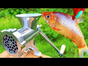 EXPERIMENT: MEAT GRINDER vs HERRING FISH