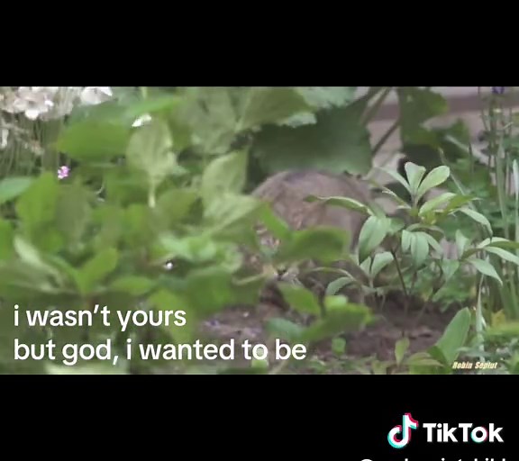 Understanding Limerence and Its Impact on Relationships