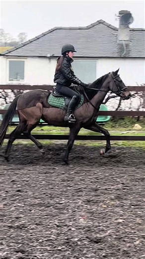 Eclipse Horse Riding Lesson Highlights
