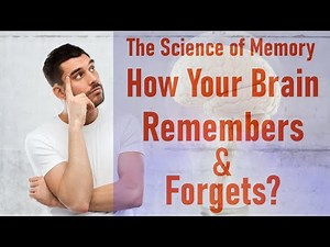 The Science of Memory: How Your Brain Remembers and Forgets?