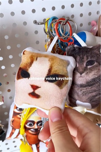 Cute Cat Meme Voice Keychain for Your Bag