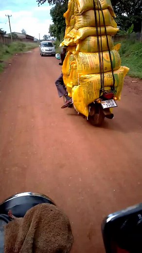 Majje the man on TikTok