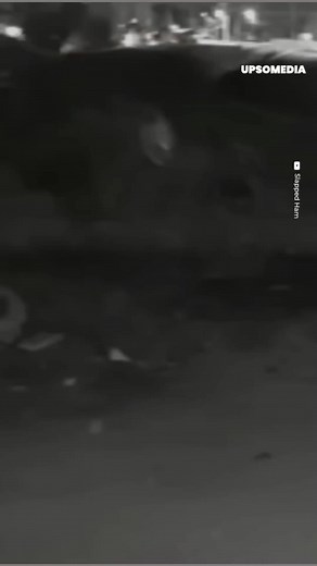 58K views · 127 reactions | A strange presence appears on a video, scaring these cats | The Enigma | Facebook