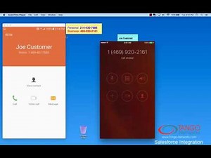 Salesforce Integration Demo from Tango Networks