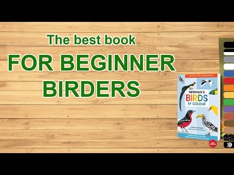 Book review Newman's Birds by Colour