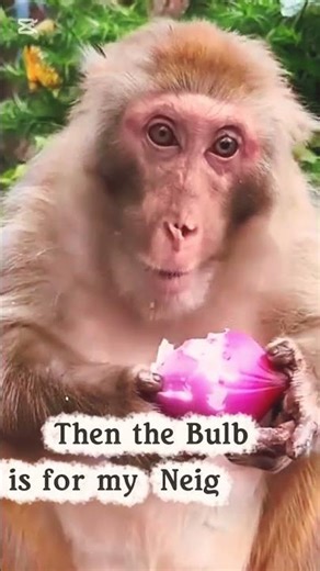 Growing Water Spinach in an Empty Bottle: Beginners Can Do This! #container #vegetables #garden