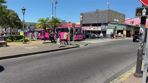 Orijus tiesiogiai – iš Kosta Rikos: kokie šalies privalumai ir ką privalo žinoti atvykstantys lietuviai | DELFI.lt