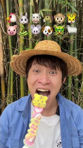 十二生肖中 你是属于哪个生肖啊？#吃表情包