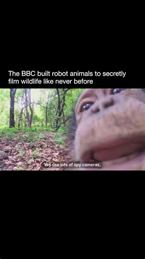 Artificial Intelligence | ChatGPT | Technology on Instagram: "The BBC’s Spy in the Wild uses lifelike animatronic cameras disguised as animals to film wildlife up close. These “spy creatures” blend naturally into their surroundings, allowing filmmakers to capture rare and intimate moments that humans could never see. Every time one is deployed, the reaction is different. Some animals stare straight into the lens, as if aware they’re being watched. Others treat the robot as one of their own. What