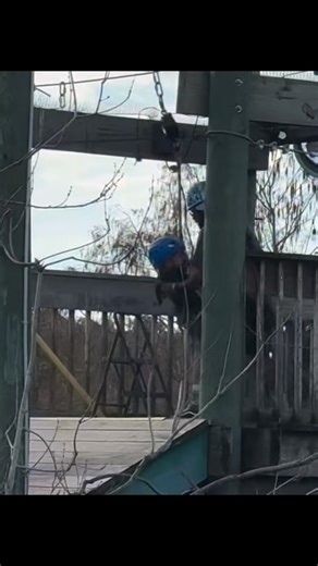 Colton Hendricks on Instagram: "Gatorland was a blast. Definitely souther approved. ￼"