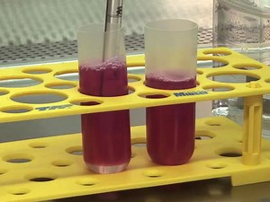 Production of Lentiviral Vectors for Transducing Cells from the Central Nervous System