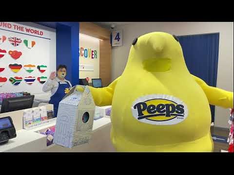 Peeps® Collection First Stuffing Premiere starring the Peeps Chick!