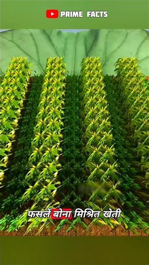 Smart Farming Tricks Every Farmer Should Know