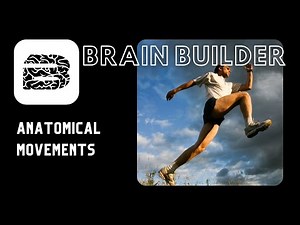 Anatomical Movements | Real Anatomy