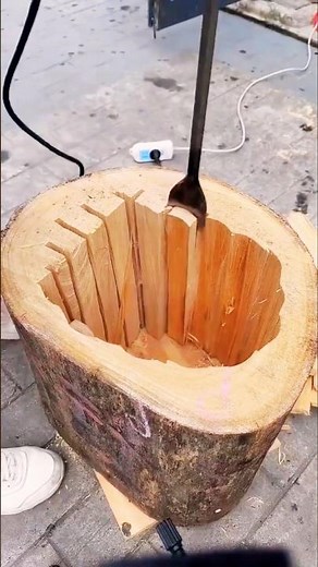 How to Hollow Out a Tree Log Easily!