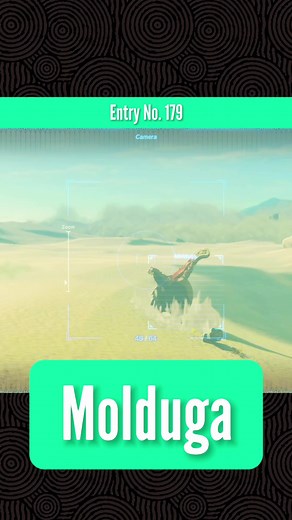 The Molduga #zeldatearsofthekingdom #zeldatok #totk #fyp #molduga