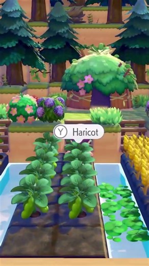 Comment utiliser les maisons correctement #pokopia #pokémon #tutorial