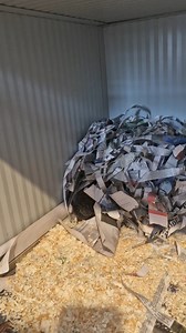 4.4K views · 342 reactions | Safe to say that nest building is an instinctual task 殺 little Nelson has been with me since he was 61grams. Nobody has taught him how to nest build but he knows exactly what it's all about ❤️ Every evening he's busy as a bee getting his bed made. Little dote, I could watch them for hours. | Hedgehog rescue Dublin | Facebook