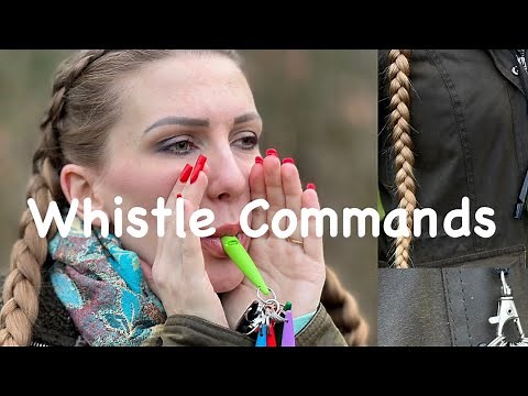Dog whistle commands
