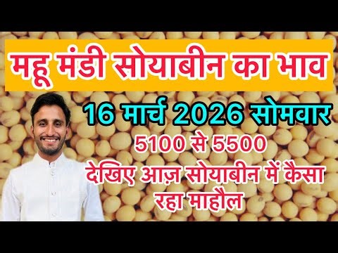 महू मंडी सोयाबीन भाव 16 मार्च 2026 सोमवार आजकामहूमंडीकाभाव #soybean #सोयाबीनभाव #महू #महूमंडीभाव