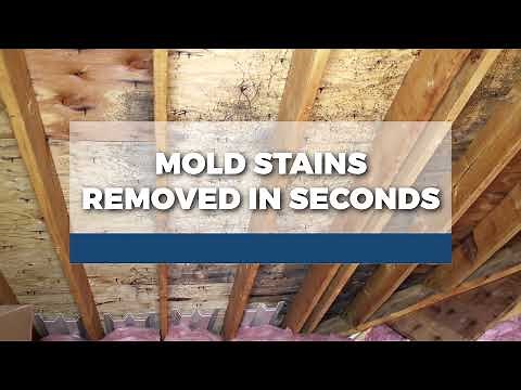 RMR-86 Pro Instant Mold Stain Remover