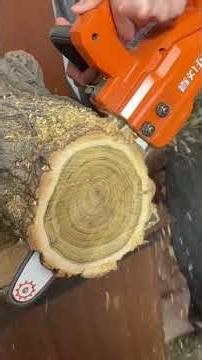Tree wood slices cutting in chain saw cutter