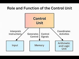 Role and function of the Control Unit