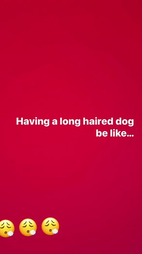 And this is EVERY WEEK  the amount of vacuum cleaners I have went...