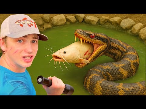 I Caught The Monster Snake Attacking My Fish…