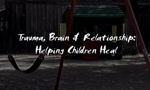 Trauma, Brain & Relationship: Helping Children Heal Video
