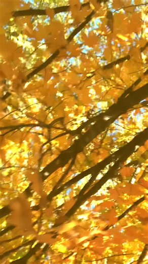 Autumn is amazing | Jon Griffin
