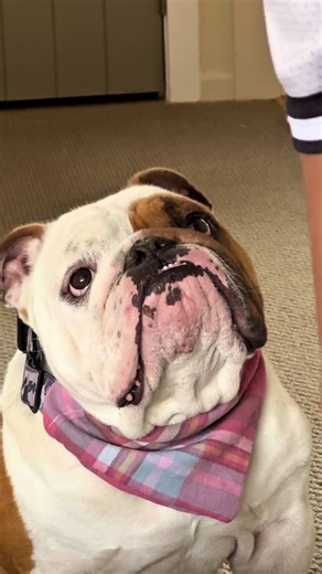 PrinceZuko&Kora on TikTok