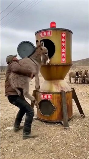 🦾⚙️ Industrial Conversion Machine: Donkey In… Sausages Out! 🏭🤖