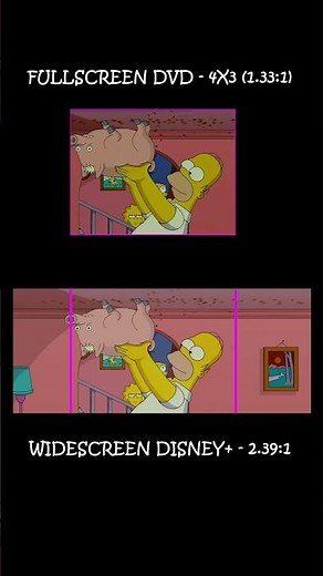 The Simpsons Movie: Widescreen vs Fullscreen