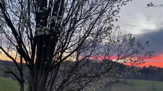 11K views · 157 reactions | Good morning, Tri-Cities! (Video: Lisa Depew) | WCYB | Facebook