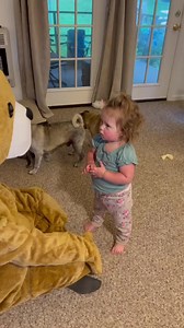 65K views · 2.7K reactions |  | The Hillbillies | Facebook