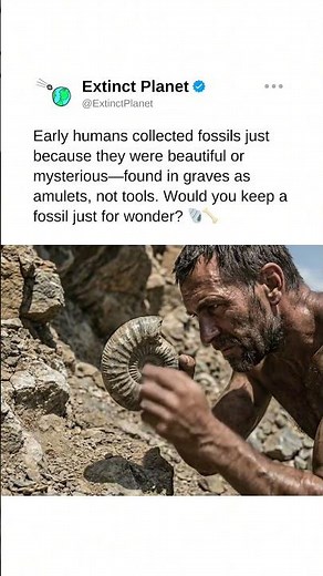 Prehistoric curiosity and fossil collecting 🐚🦴 #prehistoric #prehistory
