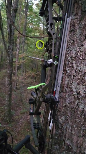 4.5K views · 57 reactions | Opening Morning of Kentucky's Early Muzzleloader Season. Good luck to everyone out hunting!! #heartofkentuckyoutdoors #deerhunting #whatgetsyououtdoors #hunting #kentuckyhunting #deerseason #bowhunting | Heart of Kentucky Outdoors | Facebook