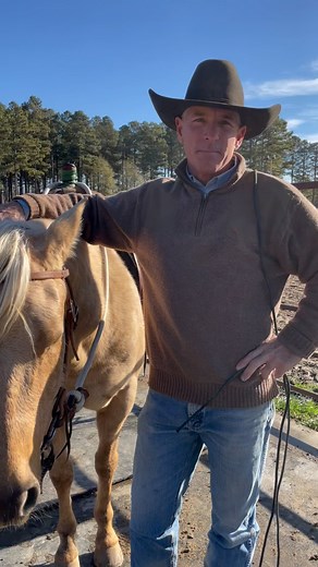 1.7K views · 944 reactions | How to tie the neck rope. #BEONE #b1 #beoneofus #horse #horselove#horsemanship #horseriding #ranch #ranchlife #ranching #justranching #cowboycool #b1horsemanship | B1 Horsemanship | Facebook