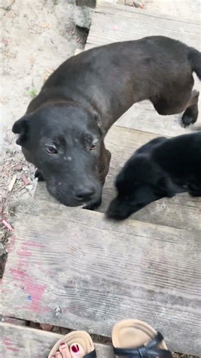 Good morning from my outside babies