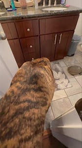 1.5M views · 4.8K reactions | Hi! It’s Anders!! We have good news!!...