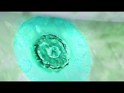 Keep your toilet fresh & clean with Duck® Fresh Discs