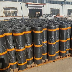 [Hot Item] Heating Torch for Sbs Modified Bitumen Roofing Membrane Installation