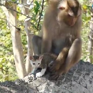 95K views · 785 reactions | Unblelievable. | Beauty of The Planet Earth | Facebook