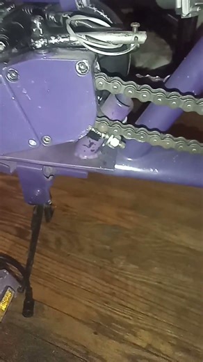 Mr $nake Speed Boyz?! The purple Chopper motorized bicycle stingray
