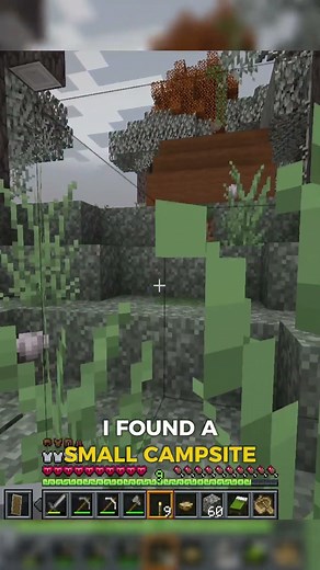 I Found a Small Campsite in Hardcore Minecraft! (Day 4)