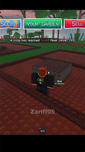 plant olive in the garden Horizon #roblox #gardenhorizon