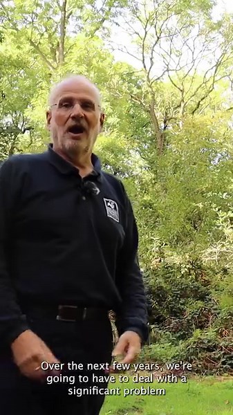 Ash Dieback: explained 🍂 We have recently highlighted the challenges of balancing needs of wildlife and people whilst tackling Ash dieback disease on our nature reserves. Join our Nature Recovery Manager, Michael in this video filmed at one of our ancient woodland reserves, to learn more. Find out more: https://www.nottinghamshirewildlife.org/news/challenges-balancing-needs-wildlife-and-people-whilst-tackling-ash-dieback-disease 🎥: Sophie Bell 📸: MJ Richardson / Steve Collin - Norfolk Wildlif