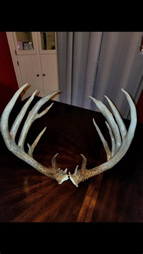 6.6K views · 155 reactions | 240 gross sheds #canadahunting #hunting #shedantlers #antlers #deer | Mike Charowhas | Facebook
