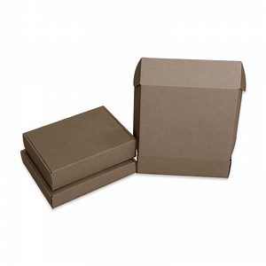 [Hot Item] Personalized Eco Corrugated Paper Boxes with Your Logo
